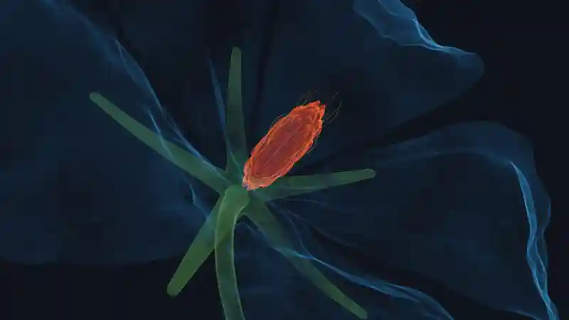 Wallpaper