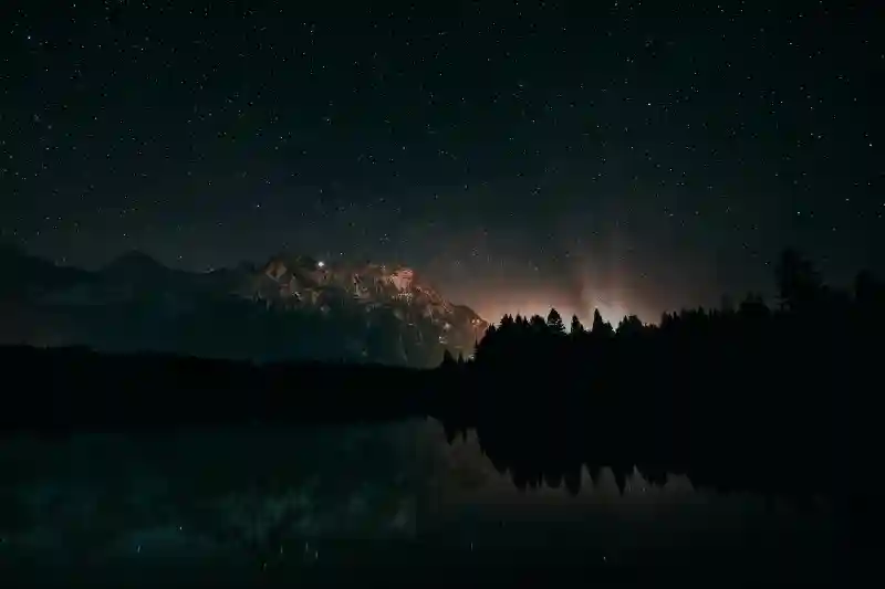 Wallpaper